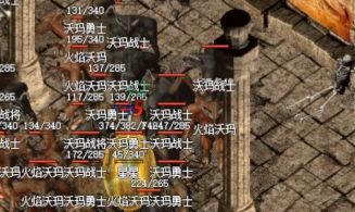 中变传奇私发布网服新手进阶指南：等级、装备与材料全解析